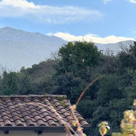 Apartamento Penaquinera En Llanes Dış mekan fotoğraf
