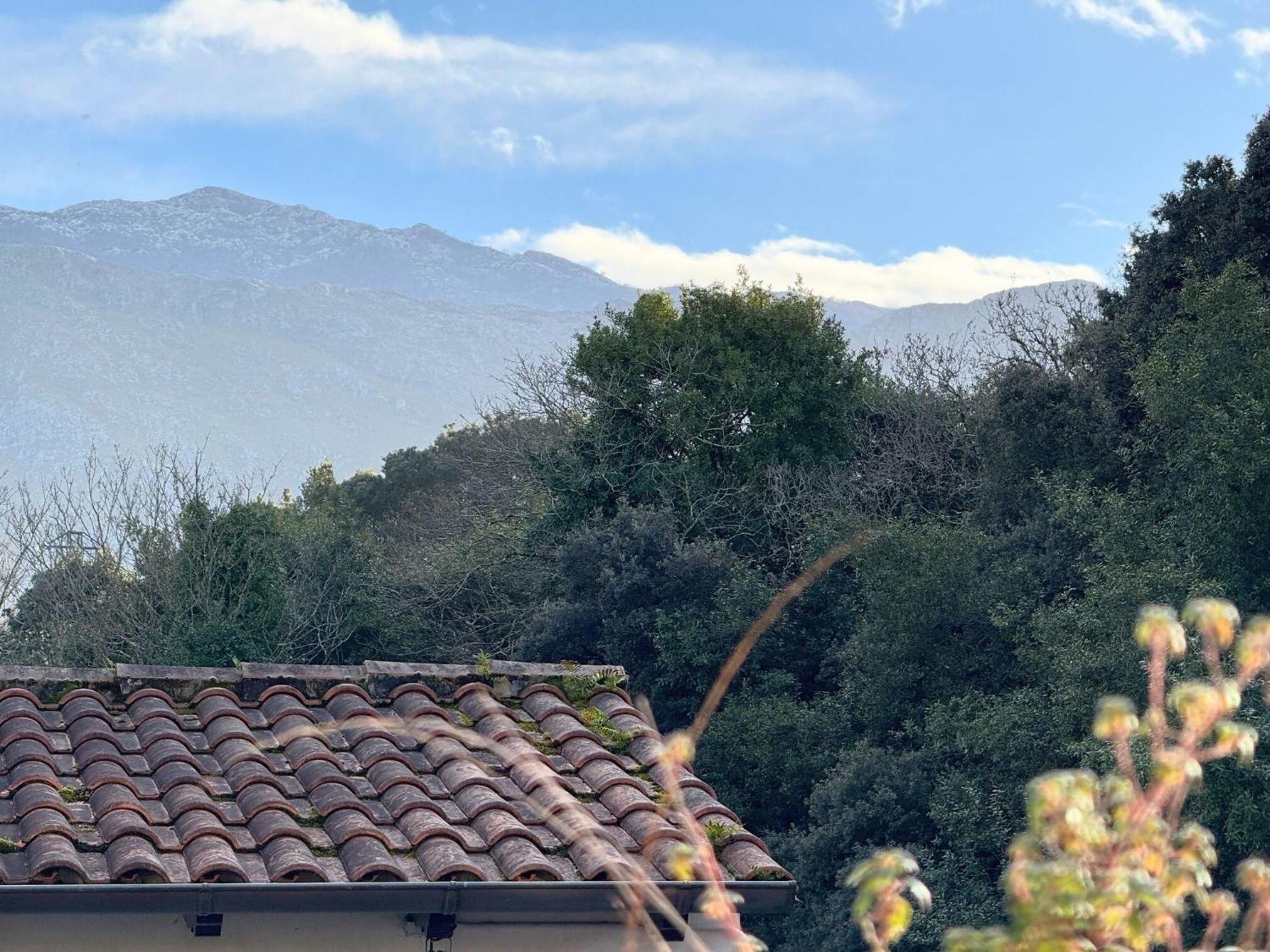 Apartamento Penaquinera En Llanes Dış mekan fotoğraf